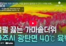 광탄이 한 여름에 유명해진 이유