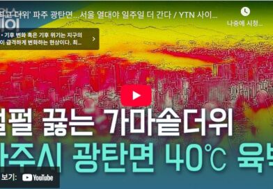 광탄이 한 여름에 유명해진 이유