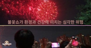 파주시, 불꽃쇼 환경·경제성 투명 조사 후 드론쇼 대안 모색하라-김성대