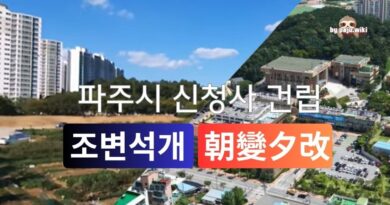 조변석개의 정치를 말하다-고기석